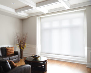 Residential Window Shade