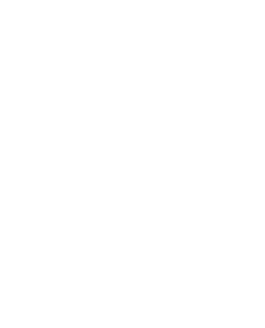 Sg Stealth Window Shade Automation Systems Logo