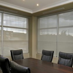 Window Shade For Office